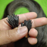 LAGAH Premium, Y - Tips Hair Extensions ( 25 Strands ) - LAGAH Hair Products